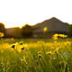 Image for article titled Shooting Challenge: Golden Hour Gallery 2